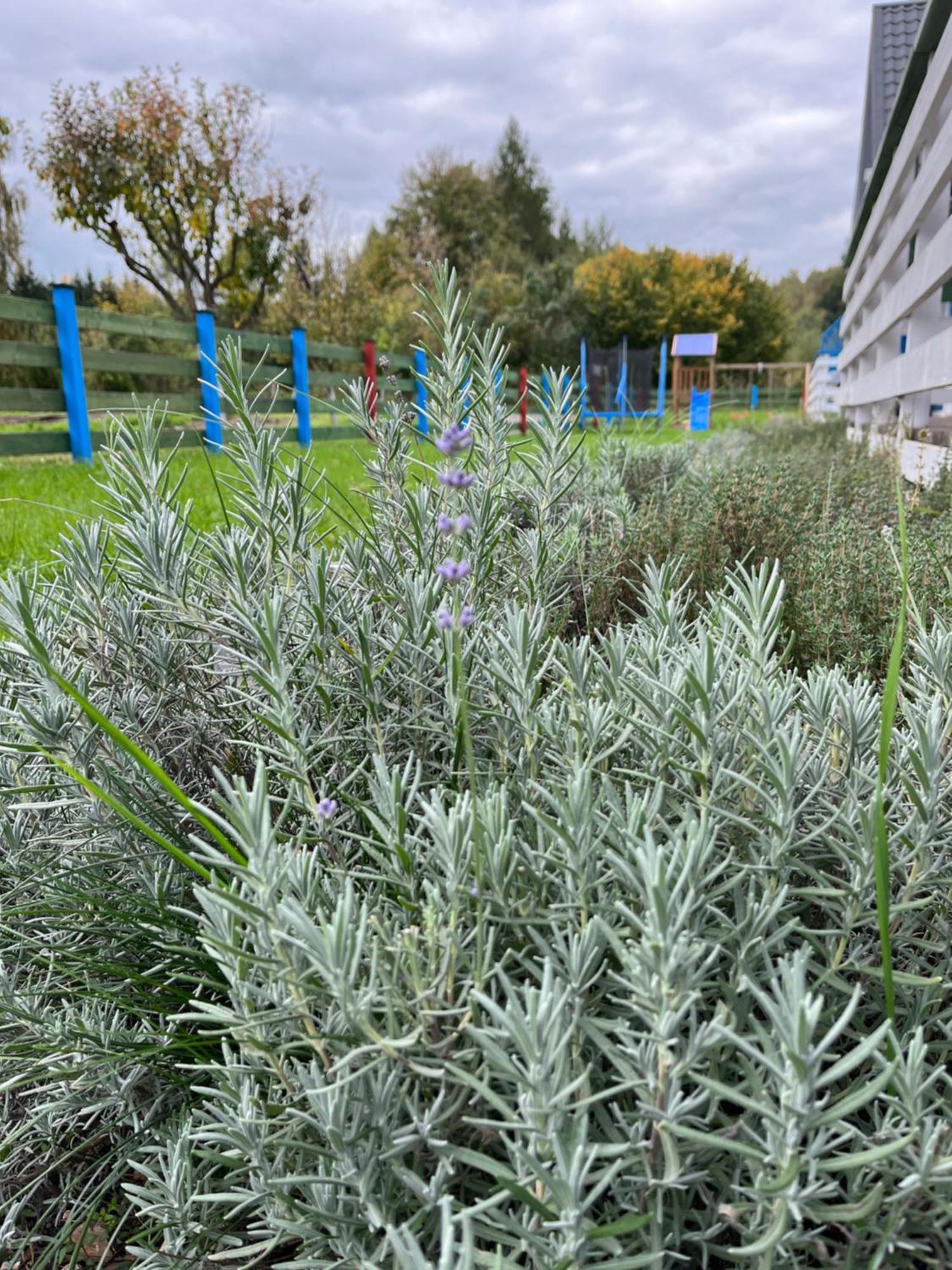 Domki W Dolinie Bobru Siedlecin Exterior foto